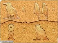 Hieroglyphica Hieroglyphica