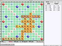 Ortograf Ortograf