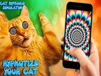 Chat hypnotiseur - illusions Chat hypnotiseur - illusions