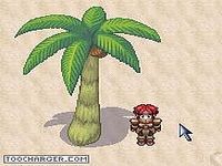 Survivor MMORPG Survivor MMORPG