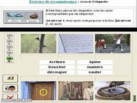 1000 mots pour apprendre à lire 1000 mots pour apprendre à lire