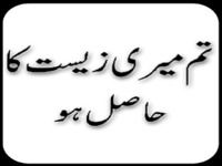 Novel- Tum Meri Zeest ka Hasil Novel- Tum Meri Zeest ka Hasil