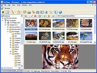 XnView Portable XnView Portable