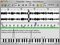 Transcribe! Transcribe!