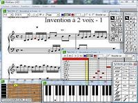 Pizzicato Pizzicato