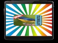 Masteran Kicau Tledekan