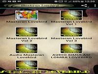 Mp3 Masteran Lovebird Mp3 Masteran Lovebird