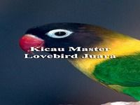 Kicau Master Lovebird Juara Kicau Master Lovebird Juara