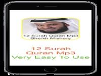 Sheikh Mishary 12 Surah Coran Sheikh Mishary 12 Surah Coran