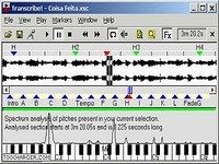 Transcribe! Transcribe!