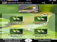 Master Kicau Pleci Master Kicau Pleci