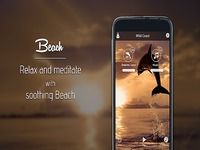 Sunset Beach: Sleep, Meditate Sunset Beach: Sleep, Meditate