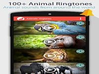 Animaux: Sonneries Animaux: Sonneries