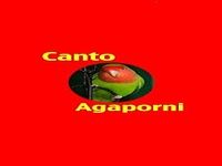 Canto Agaporni Canto Agaporni