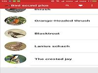 Bird Sound Plus Bird Sound Plus