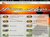 Todos Cantos Pássaros 2017 Todos Cantos Pássaros 2017