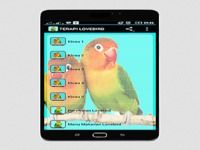 TERAPI LOVEBIRD MASTER TERAPI LOVEBIRD MASTER