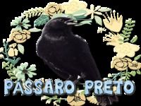 Pássaro Preto Canto Mateiro Mineiro Pássaro Preto Canto Mateiro Mineiro