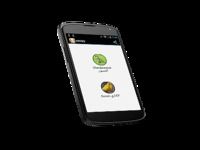 Chardonneret vs canari Chardonneret vs canari