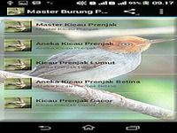 Master Prenjak Juara Gacor Master Prenjak Juara Gacor