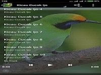 Suara Cucak Ijo Gacor mp3 Suara Cucak Ijo Gacor mp3