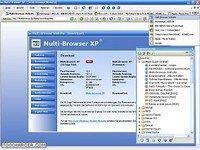 Multi-Browser Multi-Browser