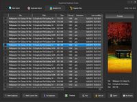 DupInOut Duplicate Finder DupInOut Duplicate Finder