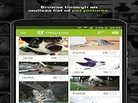 Tractive Photos Tractive Photos
