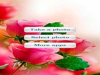Roses Photo Frames Roses Photo Frames
