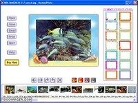 MonkeyPhoto MonkeyPhoto