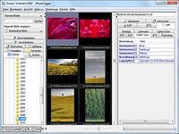 JPhotoTagger JPhotoTagger
