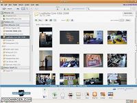 Picasa Picasa