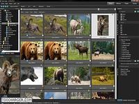 ACDSee Pro Gestionnaire de photos ACDSee Pro Gestionnaire de photos