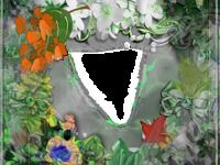 Lien Photo flower Frames Lien Photo flower Frames