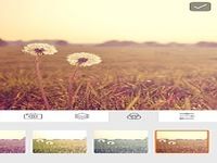 Analog Film Photo Filters Analog Film Photo Filters