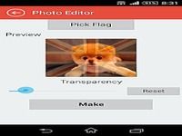 Profile Photo Flag Filter Profile Photo Flag Filter