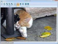 InPaint InPaint
