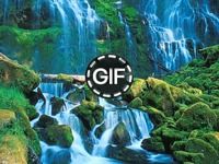 Live Wallpapers Gif Animated Live Wallpapers Gif Animated