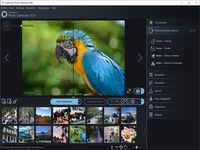 Ashampoo Photo Optimizer Ashampoo Photo Optimizer