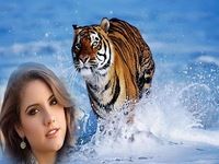 Animal Photo Frame Animal Photo Frame