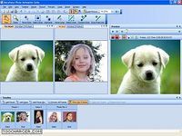 Morpheus Photo Animation Suite Morpheus Photo Animation Suite