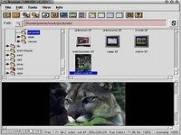 XnView XnView