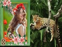Jungle Cadres Photo Jungle Cadres Photo