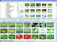 Photo to Video Converter Professional Photo to Video Converter Professional
