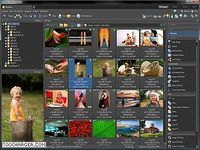 Zoner Photo Studio FREE Zoner Photo Studio FREE