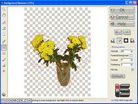 Background Remover Background Remover