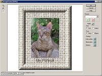 Image Frame Image Frame