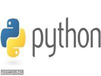 Python Python