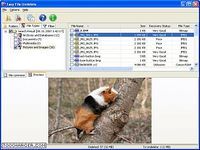 Easy File Undelete Easy File Undelete