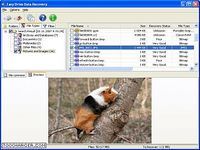 Easy FAT Data Recovery Easy FAT Data Recovery